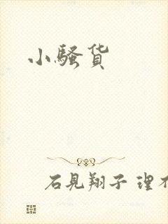 小骚货