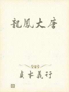 龙凤大唐