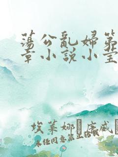 荡公乱妇第51章小说小莹