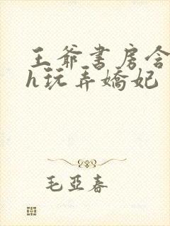 王爷书房含乳尖h玩弄娇妃