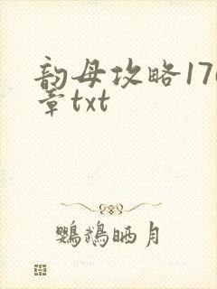 韵母攻略176章txt