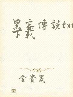 黑客传说txt下载