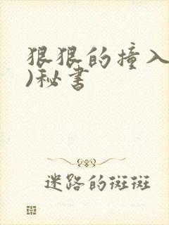 狠狠的撞入(h)秘书