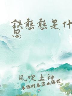 铁憨憨是什么意思