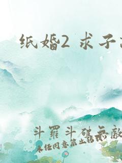 纸婚2 求子记