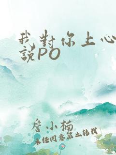 我对你上心了小说PO