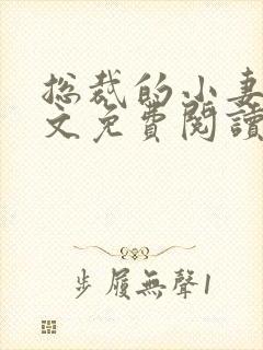 总裁的小妻子全文免费阅读