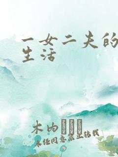 一女二夫的激情生活