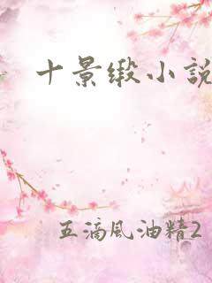 十景缎小说