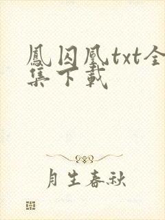 凤囚凰txt全集下载