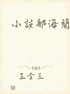 小说那海兰珠