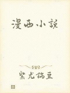 漫西小说