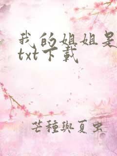 我的姐姐是美女txt下载
