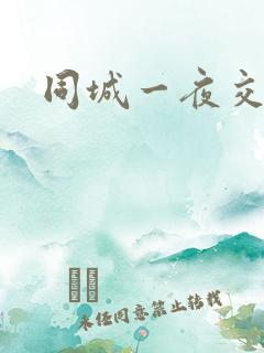 同城一夜交友