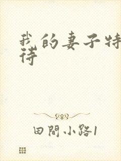 我的妻子特殊招待