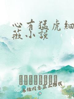 心有猛虎细嗅蔷薇小说