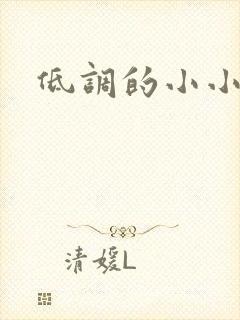 低调的小小宫女