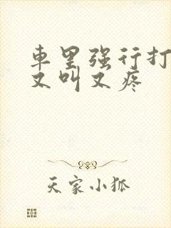 车里强行打扑克又叫又疼