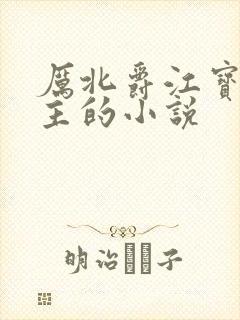 厉北爵江宝宝男主的小说