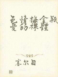 色情梅金瓶2之爱的裸体