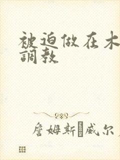 被迫做在木马上调教