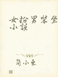 女扮男装坐江山小说