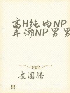 高H纯肉NP 弄潮NP男男