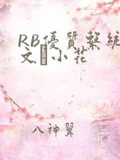 RB优质系统全文寀小花