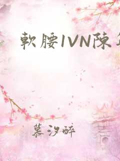 软腰1VN陈年