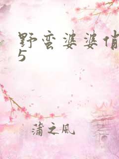 野蛮婆婆俏媳妇5