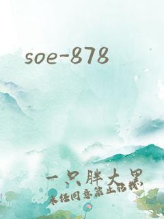 soe-878