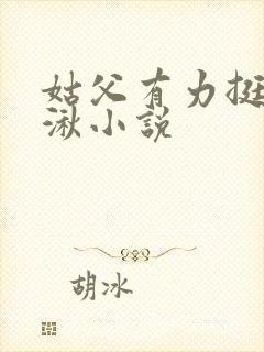 姑父有力挺送徐湫小说