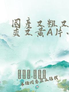 国产又粗又猛又爽又黄A片小说