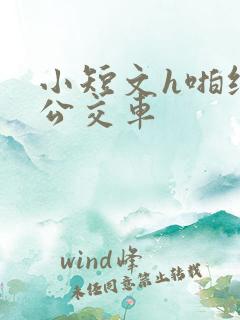 小短文h啪纯肉公交车