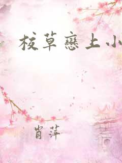 校草恋上小丫头