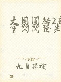 大团圆结2亲情会闪闪发光亲情会2