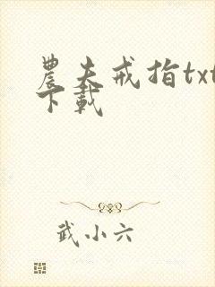 农夫戒指txt下载