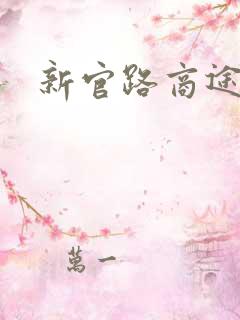 新官路商途