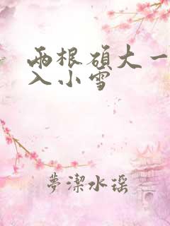 两根硕大一起挤入小雪