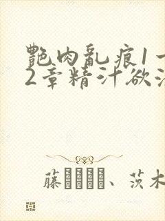 艳肉乱痕1一12章精汁欲液