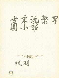 方寒沈繁星娱乐圈小说