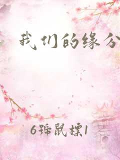 我们的缘分小说