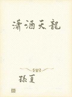 潇洒天龙