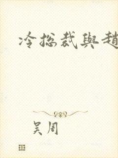 冷总裁与赵大牌