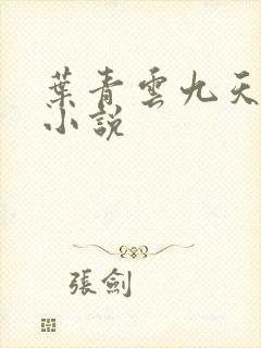 叶青云九天玄宗小说