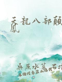 天龙八部颠龙鸾凤