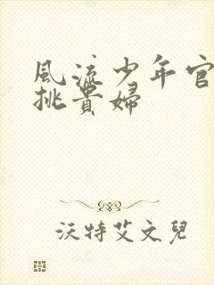 风流少年官途情挑贵妇