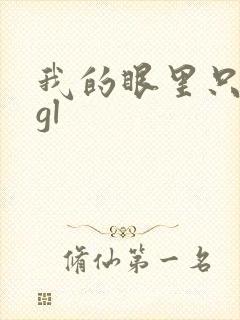 我的眼里只有你gl