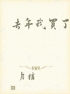 去年我买了个表