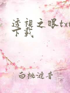透视之眼txt下载